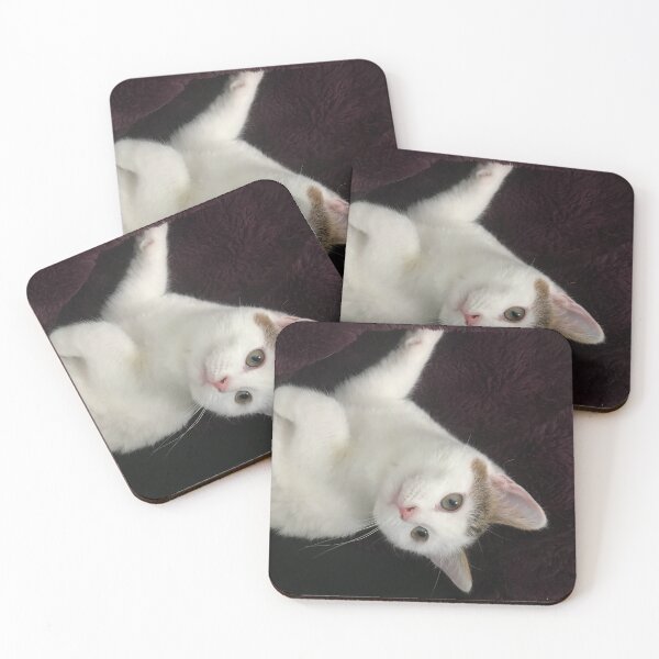Aperçu de l'œuvre Chaton blanc en couverture violette créée et vendue par Ericasilvers.