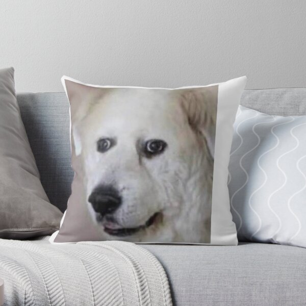 Scared shop dog pillow