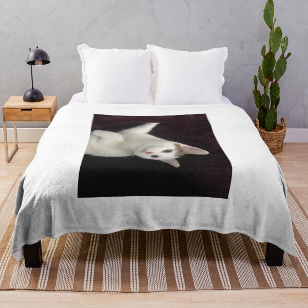 Item preview, White kitten in purple blanket designed and sold by Ericasilvers.