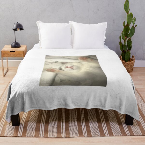 Item preview, Funny adult t-shirt sleeping adorable kitty cat designed and sold by Ericasilvers.