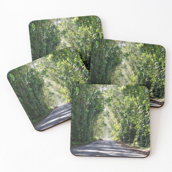 Item preview, Tunnel of Trees on Hawaii designed and sold by Dave Fine.