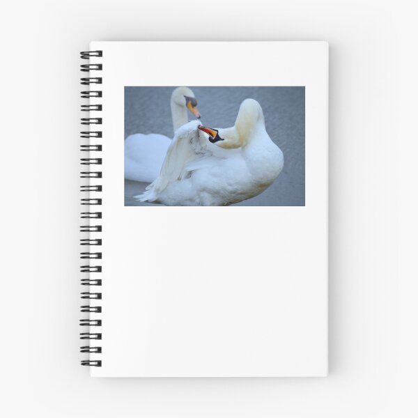 Item preview, Swan Preening designed and sold by Laurie Minor.