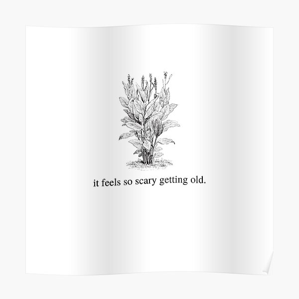 ribs lorde lyrics memes ribs lorde lyrics memes