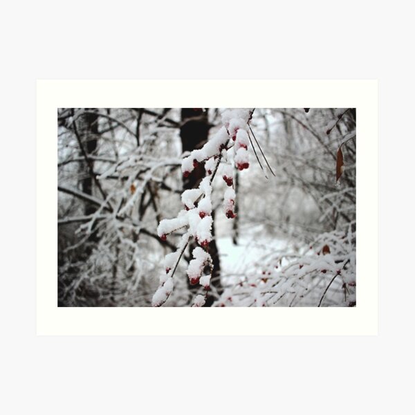 Berries in the snow Art Print