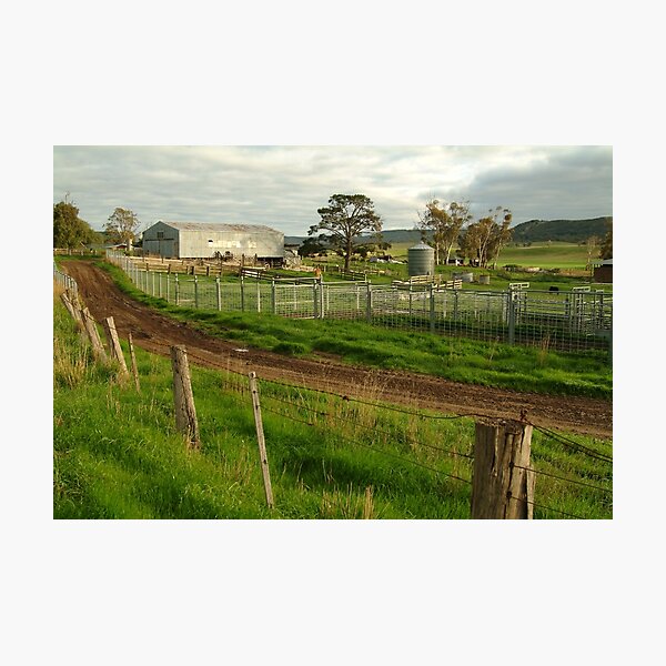 Joe Mortelliti Gallery - Rowsley valley farm, near Bacchus Marsh, Victoria, Australia. Photographic Print