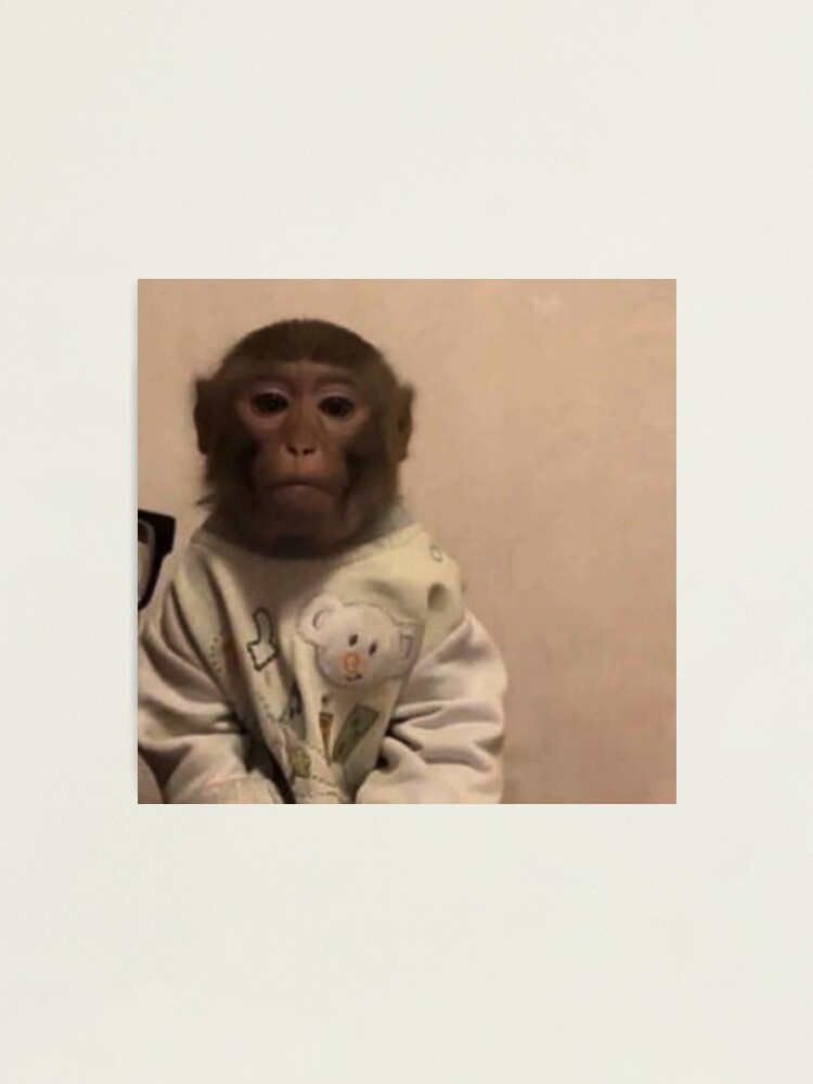 Monkey Meme Photographic Prints for Sale