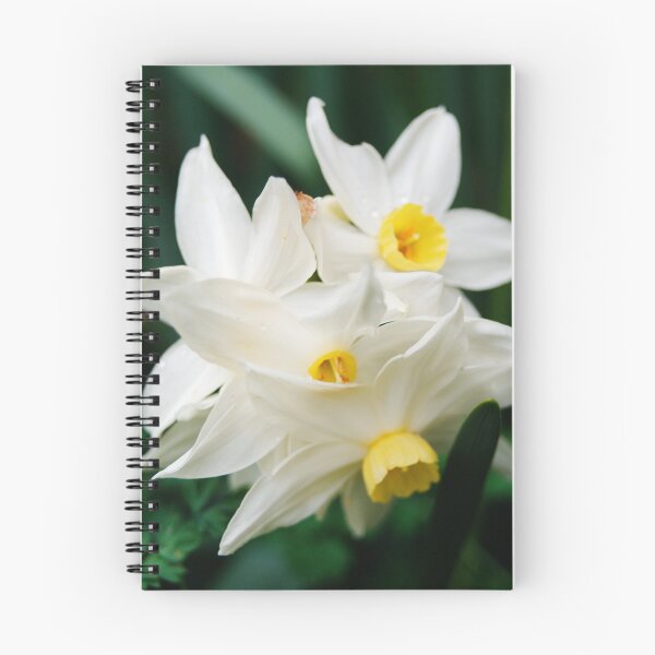 Item preview, Daffodil flowers designed and sold by ndarby1.