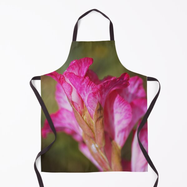 Item preview, Gladioli Cantate Pink Back designed and sold by Joy Watson - Natural Light Photography .