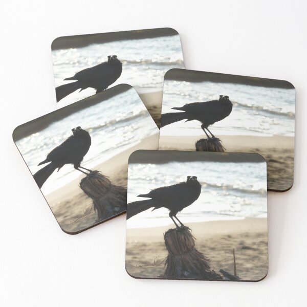 Item preview, Tamaulipas Crow - Watching || Photography designed and sold by urbanelf.