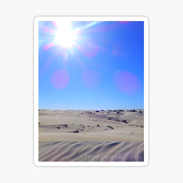 Lost in the Beauty of the Desert Sticker