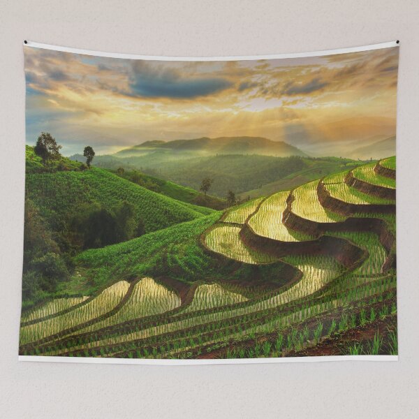 Item preview, Beautiful Rice Field Landscape designed and sold by JTS STORE.