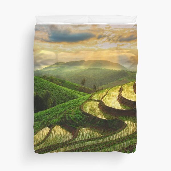Beautiful Rice Field Landscape Duvet Cover