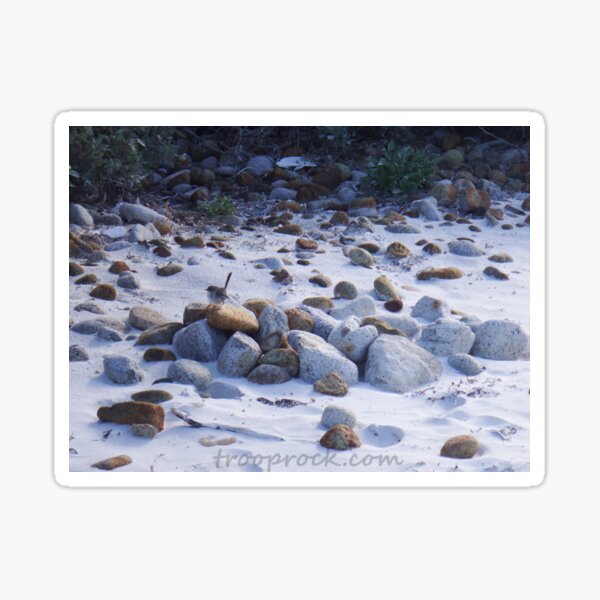 The Bird on the Rock Sticker