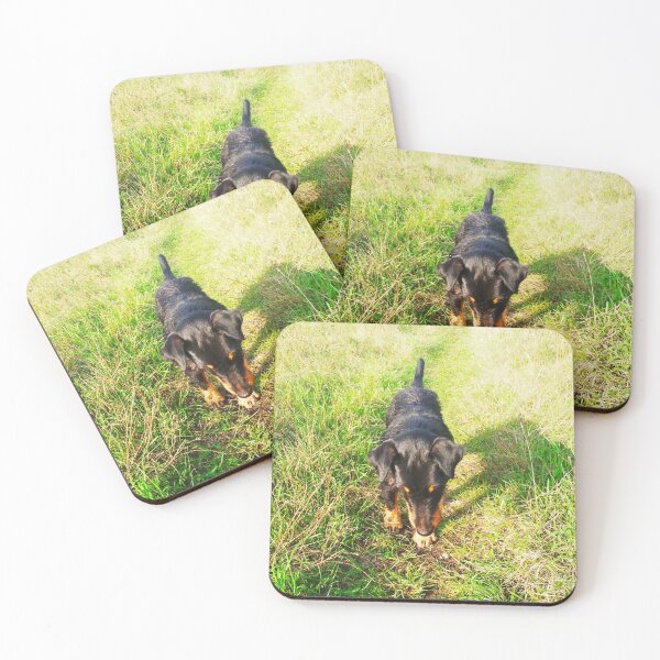 Item preview, Copy of Hunt terrier that is interested with and looking for something designed and sold by helenkaiy.