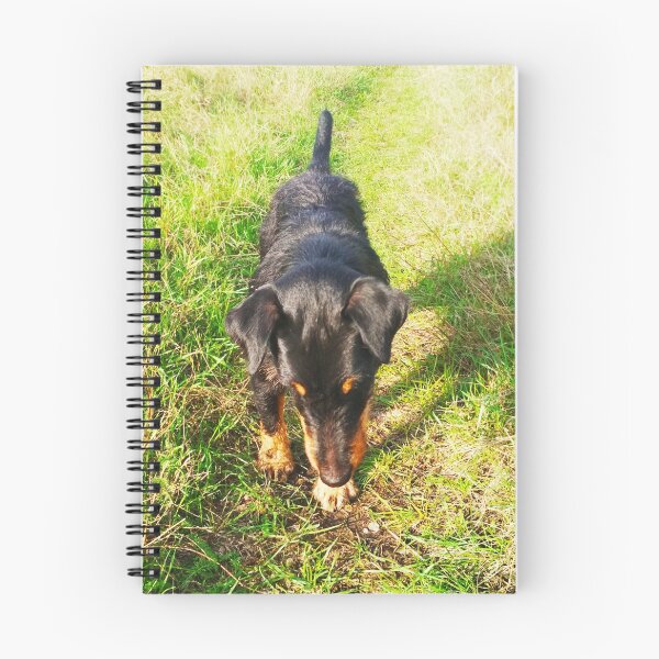 Item preview, Copy of Hunt terrier that is interested with and looking for something designed and sold by helenkaiy.