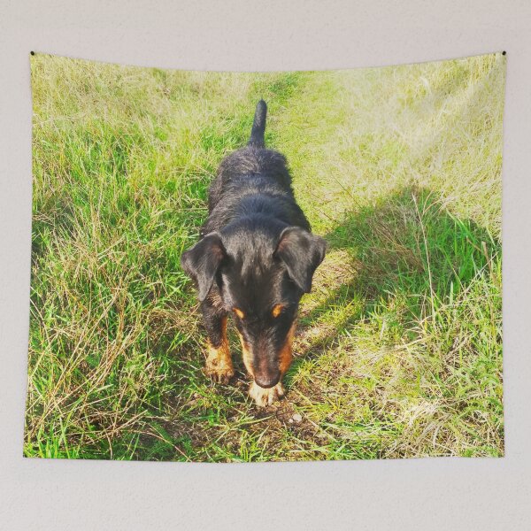 Item preview, Copy of Hunt terrier that is interested with and looking for something designed and sold by helenkaiy.