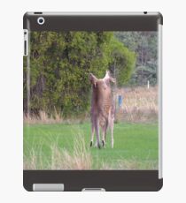 Kangaroos iPad Case/Skin