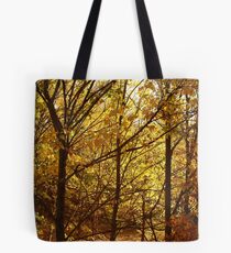 Joe Mortelliti Gallery - Spectacular autumn colours, Clunes, western Victoria. Tote Bag
