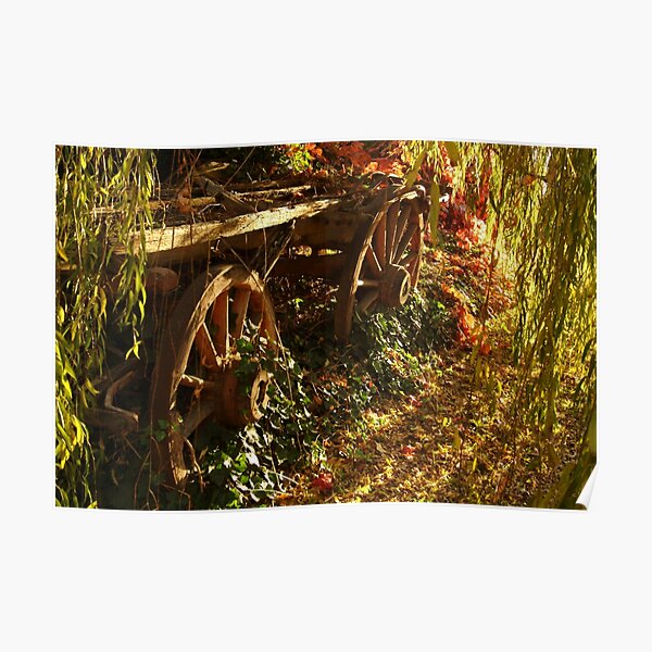 Joe Mortelliti Gallery - Cart in the sunlight, Clunes, western Victoria, Australia Poster