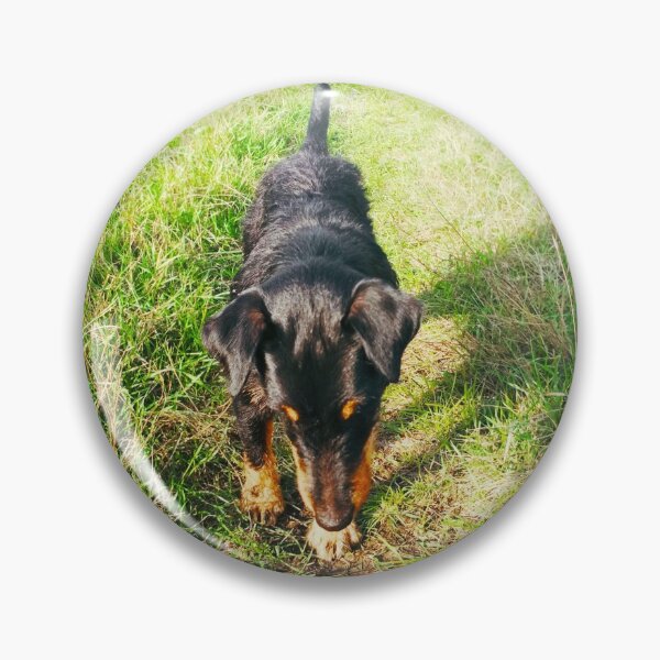 Item preview, Hunt terrier that is interested with and looking for something designed and sold by helenkaiy.