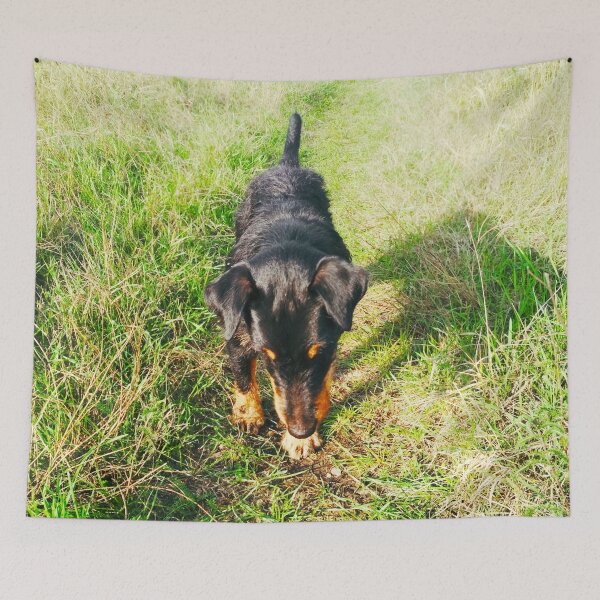 Item preview, Hunt terrier that is interested with and looking for something designed and sold by helenkaiy.