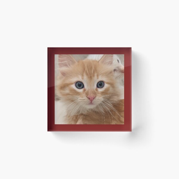 Item preview, Ginger kitten designed and sold by Fluffycat2020.