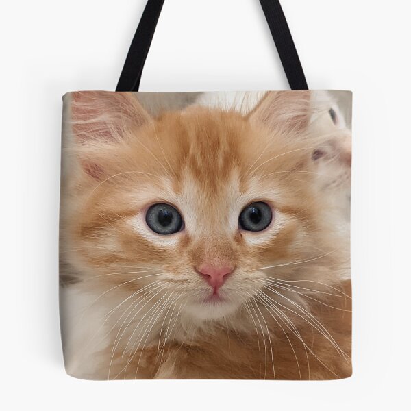 Item preview, Ginger kitten designed and sold by Fluffycat2020.