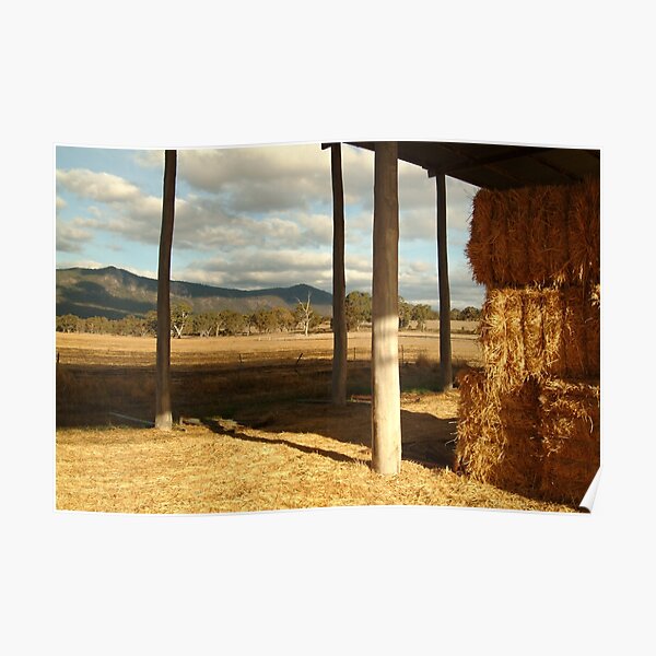 Joe Mortelliti Gallery - Hay Shed, Eversley, Mt Cole State Park, western Victoria Poster
