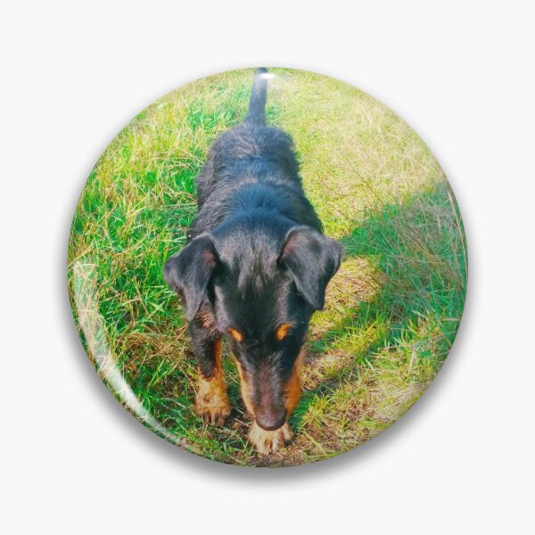 Item preview, Hunt terrier that is interested with and looking for something designed and sold by helenkaiy.