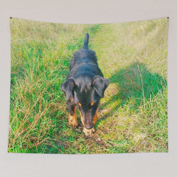 Item preview, Hunt terrier that is interested with and looking for something designed and sold by helenkaiy.
