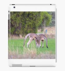 Kangaroos iPad Case/Skin