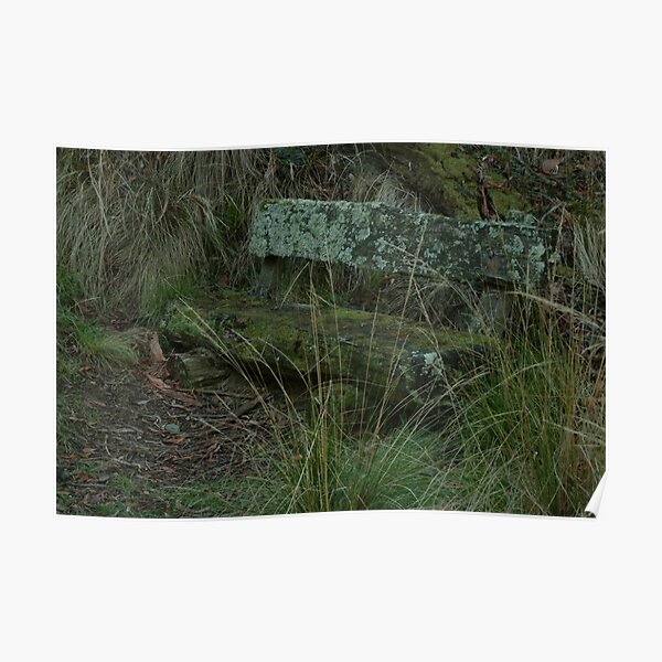 Joe Mortelliti Gallery - Old lichen covered seat, Argyle mineral springs, Victoria, Australia. Poster