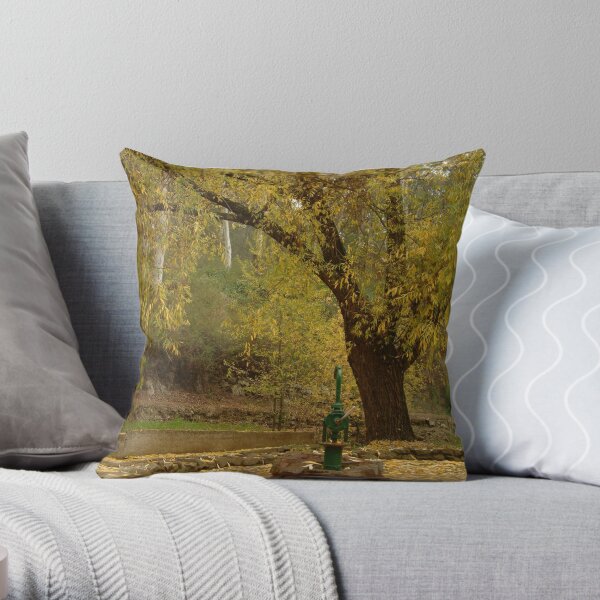 Joe Mortelliti Gallery - Pump, Central Springs, spa country, Victoria, Australia. Throw Pillow