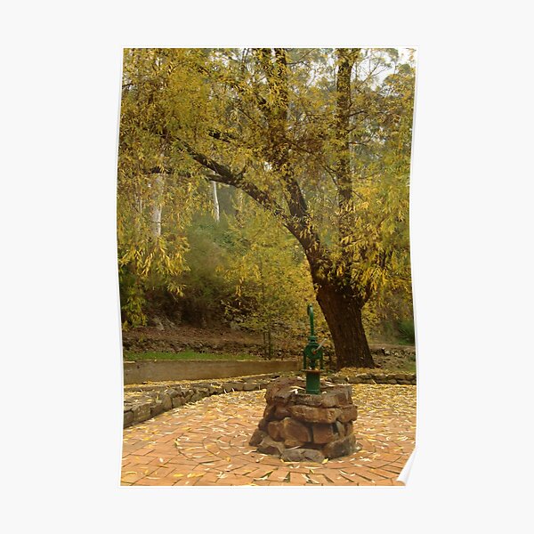 Joe Mortelliti Gallery - Pump, Central Springs, spa country, Victoria, Australia. Poster