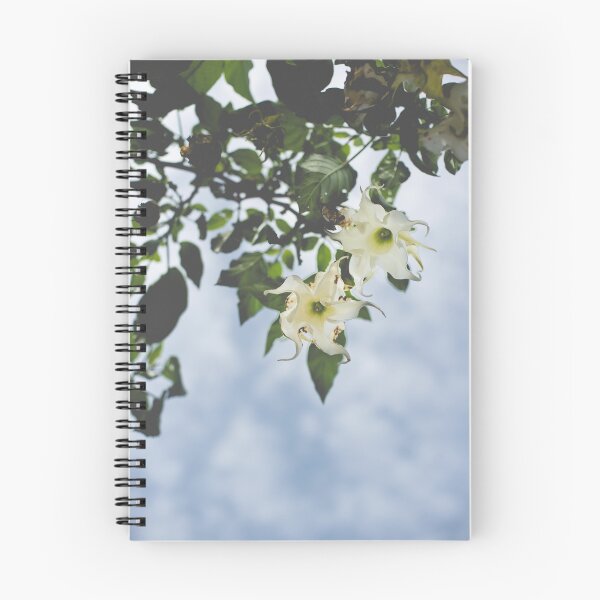 Item preview, White, hanging flowers designed and sold by Sharon Ferrari.