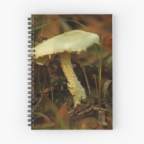 Item preview, Tiny Yellow Mushroom in the Burrum Coast  National Park designed and sold by myraj.