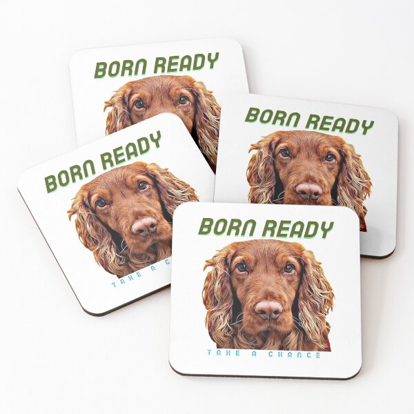 Item preview, Born Ready, Take A Chance designed and sold by HamiltonmagicTs.