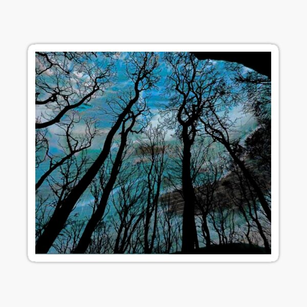 Item preview, Breathe Trees designed and sold by Aquila Light Pictures.