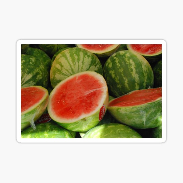 Israeli Watermelons Sticker