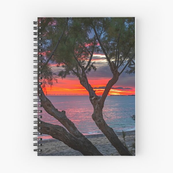 Item preview, Tamarisk sunset designed and sold by Hercules Milas.