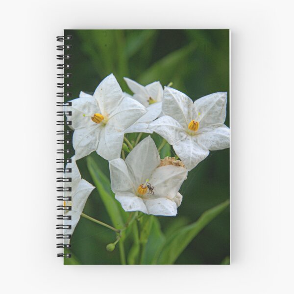 Item preview, Potato Vine designed and sold by ndarby1.