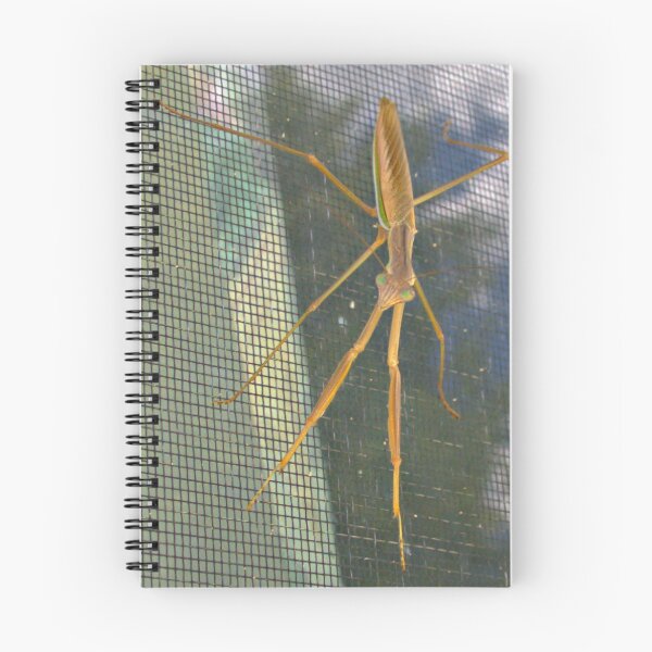 Item preview, Praying Mantis designed and sold by ndarby1.