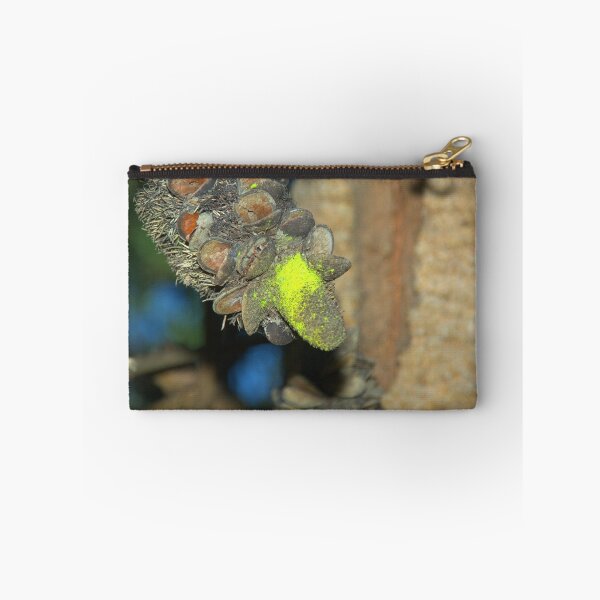 Item preview, Banksia Seed Pod designed and sold by ndarby1.