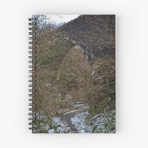 Item preview, The Causey Arch Railway Bridge designed and sold by Rob Cole Photography.