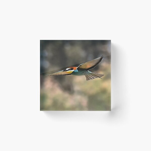 Item preview, Bee Eater In Flight Realistic Artwork designed and sold by taiche.