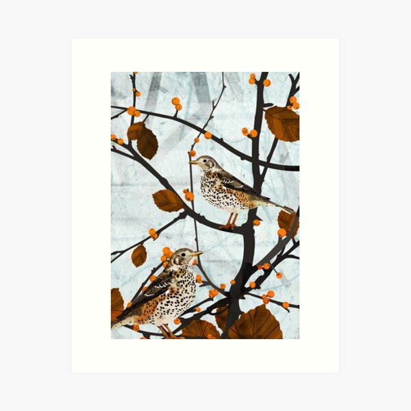 Item preview, Mistle thrush designed and sold by katherineblower.