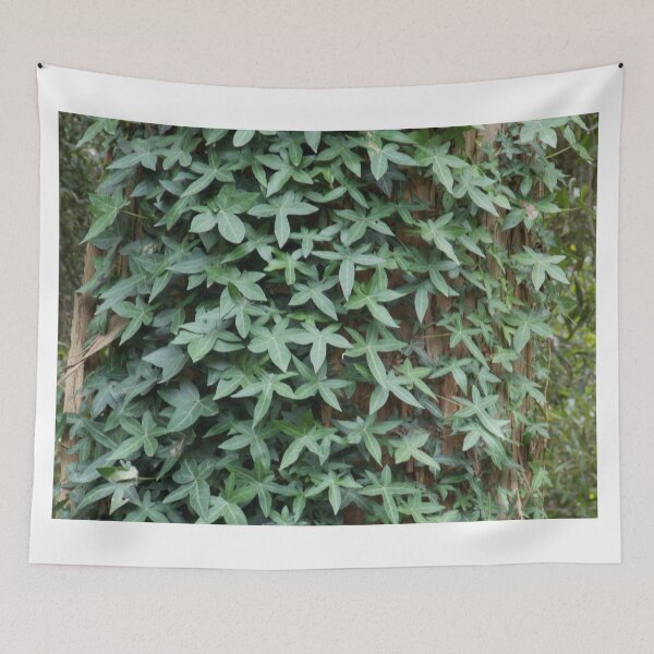 Item preview, Ivy on a tree trunk  designed and sold by Naomi80.
