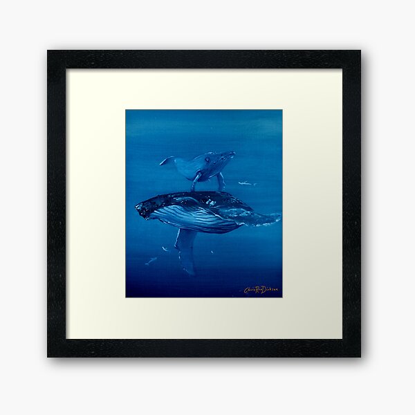 Humpback Whale and Calf Framed Art Print