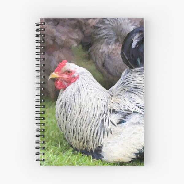 Item preview, Brahma Cockeral designed and sold by Julie Woodhouse.