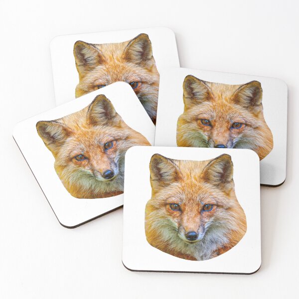 Item preview, Red Fox designed and sold by Dalyndigital Photography.